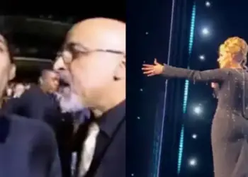 Adele interrompe show para defender fã que estava tomando bronca de segurança e da plateia